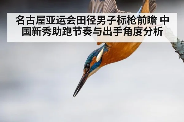 名古屋亚运会田径男子标枪前瞻 中国新秀助跑节奏与出手角度分析