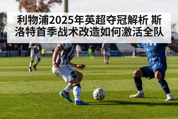 利物浦2025年英超夺冠解析 斯洛特首季战术改造如何激活全队